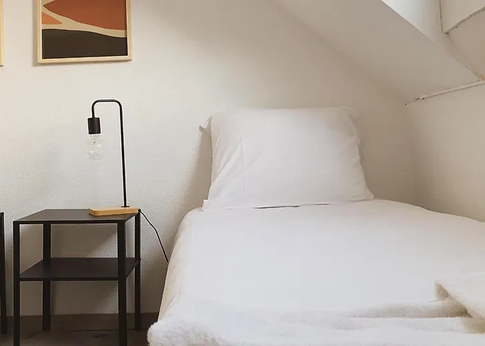 8p 4b Charming Retreat In Center * Dordrecht